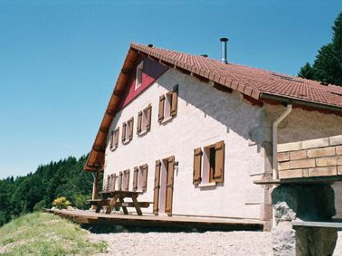 Gite Spacieux, Confort Moderne, 8 Pers, Terrasse Privative, Animaux Admis, Wifi - Fr-1-589-227 Vagney Dış mekan fotoğraf